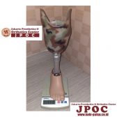 BELLOW KNEE SINGLE AXIS FOOT - Distributor Kaki Palsu Indonesia